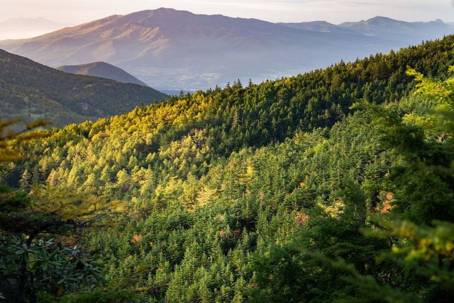 Kazdağı Milli Parkı