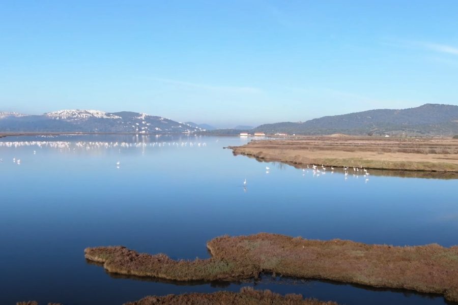 Tuzla Kuş Cenneti