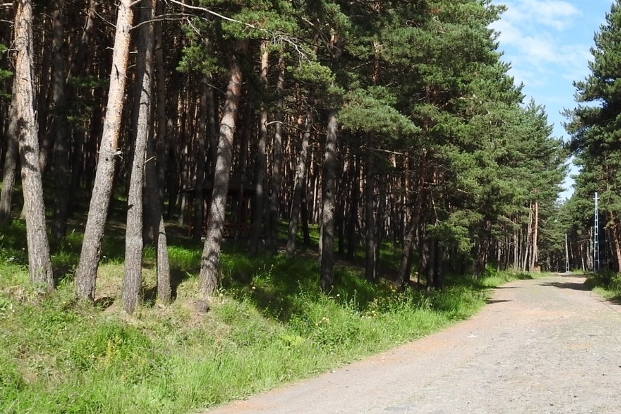 Cemal Tural Tabiat Parkı