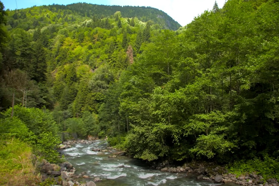 Kaçkar Dağları Milli Parkı