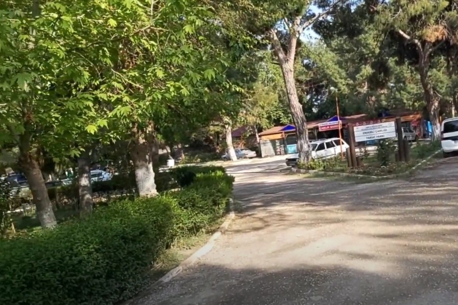 Talat Göktepe (Erdemli Çamlığı) Tabiat Parkı