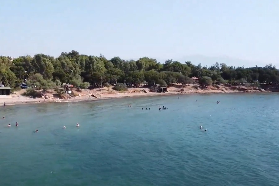 Didim Tavşan Burnu Tabiat Parkı Kamp Alanı